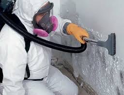 Best Crawl Space Mold Remediation  in Redland, TX